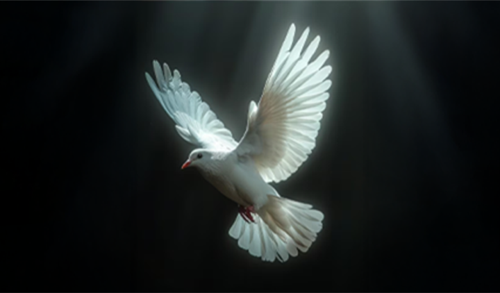 Cenaze Hizmetleri (Gassallık) Eğitimi